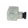 Connector: valve connector | plug | form A | 18mm | female | PIN: 3 | M16 image 8