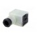 Connector: valve connector | plug | form A | 18mm | female | PIN: 3 | M16 image 2