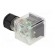 Connector: valve connector | plug | form A | 18mm | female | PIN: 3 | mPm image 6