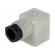 Connector: valve connector | plug | form A | 18mm | female | PIN: 3 | PG11 image 1