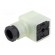 Connector: valve connector | plug | form A | 18mm | female | PIN: 3 | PG11 image 2