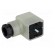 Connector: valve connector | plug | form A | 18mm | female | PIN: 3 | PG11 фото 2