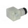 Connector: valve connector | plug | form A | 18mm | female | PIN: 3 | PG11 image 6