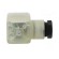 Connector: valve connector | plug | form A | 18mm | female | PIN: 3 | 8A image 7