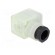 Connector: valve connector | plug | form A | 18mm | female | PIN: 3 | PG11 image 8