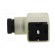 Connector: valve connector | plug | form A | 18mm | female | PIN: 3 | 8A image 3