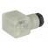 Connector: valve connector | plug | form A | 18mm | female | PIN: 3 | PG11 image 6