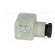 Connector: valve connector | plug | form A | 18mm | female | PIN: 3 | PG11 image 7