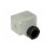 Connector: valve connector | plug | form A | 18mm | female | PIN: 3 | PG11 image 8
