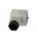 Connector: valve connector | plug | form A | 18mm | female | PIN: 3 | PG11 image 9