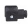 Connector: valve connector | plug | form A | 18mm | female | PIN: 4 | 3+PE image 7