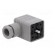 Connector: valve connector | plug | form A | 18mm | female | PIN: 4 | M16 фото 2