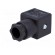 Connector: valve connector | plug | form A | 18mm | female | PIN: 4 | mPm image 4