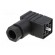Connector: valve connector | plug | form C | 8mm | female | PIN: 4 | 6A image 2