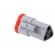 Connector: automotive | ML-XT | female | plug | for cable | PIN: 3 | grey image 4