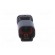 Connector: wire-wire | 565,E-Seal | male | plug | for cable | PIN: 2 image 9