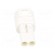 Connector: wire-wire | 570,E-Seal | plug | male | PIN: 2 | IP67 | white paveikslėlis 5