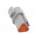 Connector: wire-wire | AT | plug | male | PIN: 3 | IP67 | Locking: latch image 5