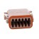 Connector: wire-wire | DT | female | plug | for cable | PIN: 12 | brown image 9