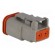 Connector: wire-wire | DT | female | plug | for cable | PIN: 2 | grey | IP68 image 4