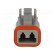 Connector: wire-wire | DT | female | plug | for cable | PIN: 2 | grey | IP68 paveikslėlis 9