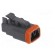 Connector: wire-wire | DT | female | plug | for cable | PIN: 2 | black paveikslėlis 8