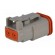 Connector: wire-wire | DT | female | plug | for cable | PIN: 2 | grey | IP68 image 6