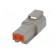 Connector: wire-wire | DT | male | plug | for cable | PIN: 2 | grey | IP68 image 6