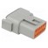 Connector: wire-wire | plug | male | DTM | for cable | PIN: 12 | grey | IP68 image 4