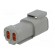 Connector: wire-wire | DTM | plug | male | PIN: 4 | IP68 | Locking: latch image 6