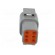 Connector: wire-wire | DTM | plug | male | PIN: 6 | IP68 | Locking: latch image 5