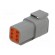 Connector: wire-wire | DTM | plug | male | PIN: 6 | IP68 | Locking: latch image 6