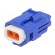 Connector: wire-wire/PCB | 565,E-Seal | plug | female | IP67 | blue image 1