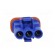 Connector: wire-wire/PCB | 570,E-Seal | plug | female | PIN: 3 | IP67 фото 5