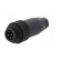 Connector: circular | plug | 692,693,RD24 | male | PIN: 7 | unshielded image 2