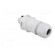Plug | Connector: circular | male | PIN: 3 | silver plated | 20A | 250V image 4