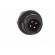 Socket | Connector: circular | 710 | male | PIN: 4 | unshielded | 3A | IP40 image 9