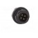 Socket | Connector: circular | 710 | male | PIN: 4 | unshielded | 3A | IP40 paveikslėlis 9