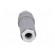 Plug | Connector: DIN 43651 | NR | male | PIN: 7 | w/o contacts | 10A | IP65 paveikslėlis 5