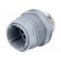 Socket | Connector: DIN 43651 | NR | male | PIN: 12 | w/o contacts | 5A image 1