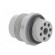 Socket | Connector: DIN 43651 | NR | male | PIN: 7 | w/o contacts | 10A paveikslėlis 4