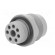 Socket | Connector: DIN 43651 | NR | male | PIN: 7 | w/o contacts | 10A paveikslėlis 6