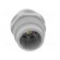 Socket | Connector: DIN 43651 | NR | male | PIN: 7 | w/o contacts | 10A paveikslėlis 9