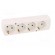 Connector: AC supply | female | splitter | 2P+PE | 250VAC | 16A | white image 9