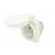 Connector: AC supply | socket | 2P+PE | 250VAC | 16A | white | PIN: 3 | IP54 image 2