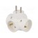 Connector: AC supply | splitter | 2P,2P+PE | white | Output: 4x socket image 1