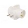 Connector: AC supply | splitter | 2P,2P+PE | white | Output: 4x socket image 2