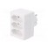 Connector: AC supply | splitter | 2P | Type: round,flat | white paveikslėlis 2