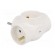 Connector: AC supply | splitter | 2P+PE | white | Output: 3x socket image 4