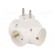 Connector: AC supply | splitter | 2P+PE | white | Output: 4x socket paveikslėlis 1